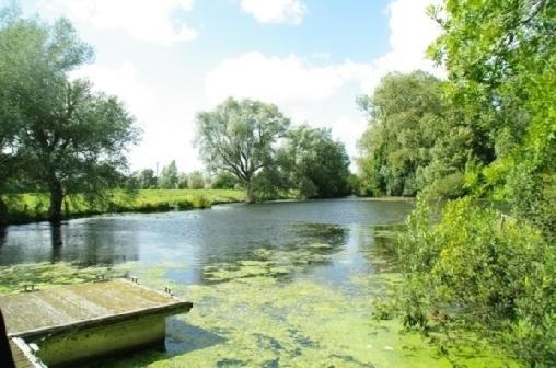Le Cottage De L'Heron Moulle Bagian luar foto